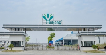 Nhà máy MDF Mekong